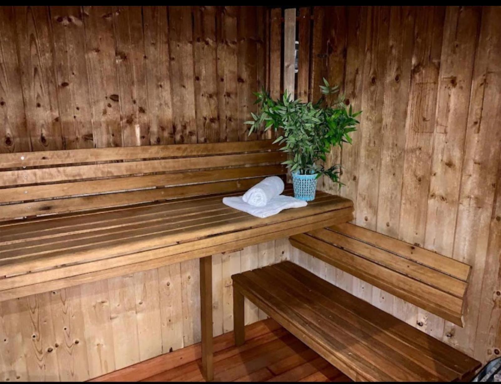 Appartements Avec Piscine Interieure Sauna Parking Etage 1 Au Centre Du Village Dans Residence Cami Real Saint-Lary-Soulan Exteriér fotografie