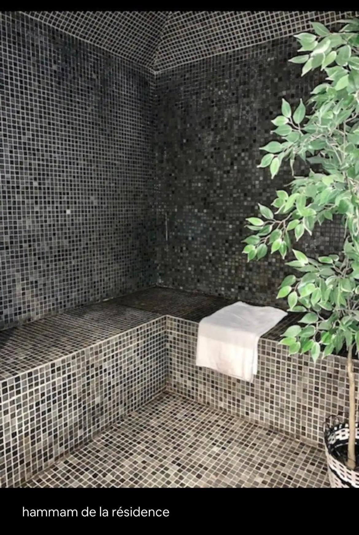 Appartements Avec Piscine Interieure Sauna Parking Etage 1 Au Centre Du Village Dans Residence Cami Real Saint-Lary-Soulan Exteriér fotografie